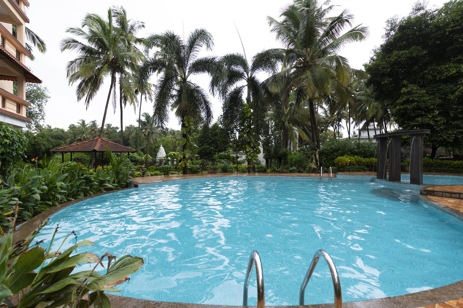 The Peaceside pool with palms